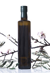 Image showing olive branch and a bottle of olive oil