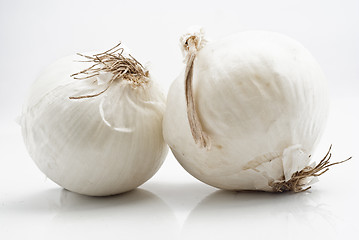 Image showing Fresh onions