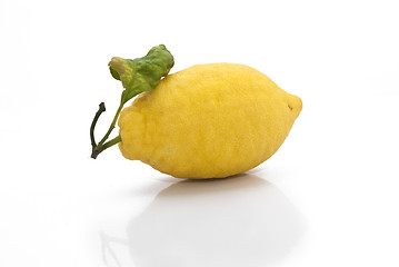 Image showing yellow sicilian fresh lemon