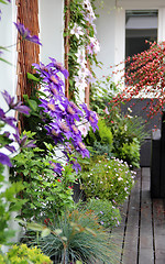 Image showing Modern terrace with a lot of flowers