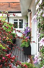 Image showing Modern terrace with a lot of flowers