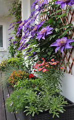 Image showing Modern terrace with a lot of flowers