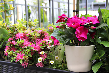 Image showing Modern terrace with a lot of flowers