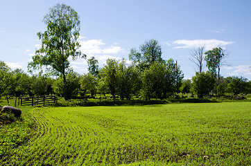 Image showing Green field 