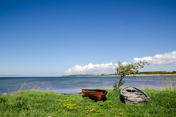 Image showing Rowing boats