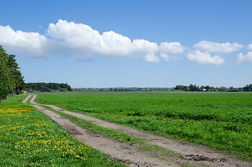 Image showing Farmers road at field