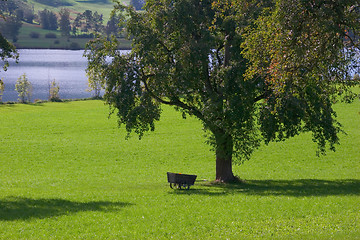 Image showing A day in the country