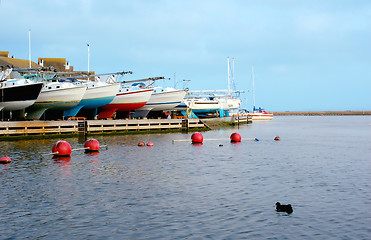 Image showing Yachts on Stilts