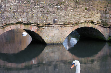 Image showing Reflective Arches