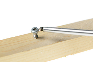 Image showing Screw and Screwdriver