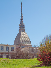 Image showing Mole Antonelliana Turin