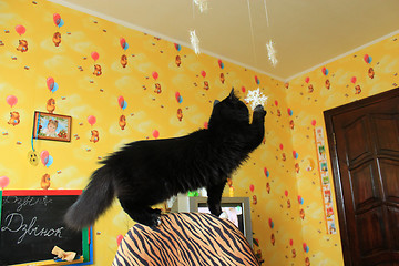 Image showing Black cat on a chair in children's room