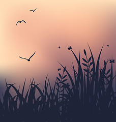 Image showing Sunset with grass and flying seagulls