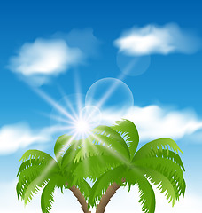 Image showing Summer holiday background with sunlight and palmtree