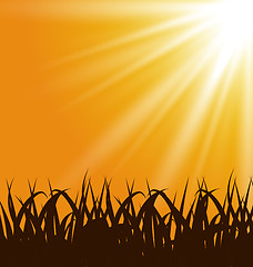 Image showing Autumn background with grass and sunlight