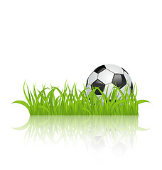 Image showing Soccer ball on grass isolated on white background