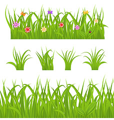 Image showing Set green grass isolated on white background