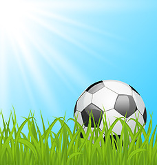 Image showing Soccer ball on green grass 