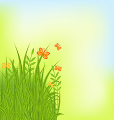 Image showing Summer background with grass and butterfly