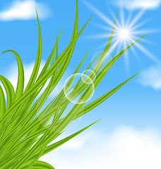 Image showing Natural illuminated background with green grass