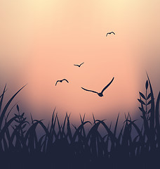 Image showing Landscape with grass and flying seagulls 