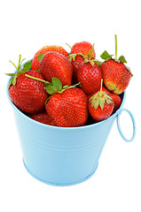 Image showing Strawberries in Blue Bucket