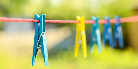Image showing clothes pegs