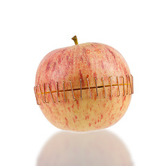 Image showing Sliced apple halves