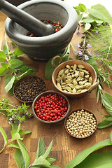 Image showing Herbs and spices