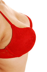 Image showing Breast in red bra.