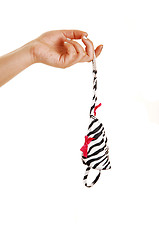 Image showing Hand holding a thong panty.