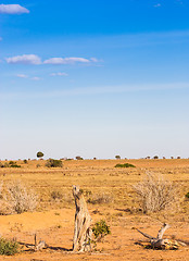 Image showing Adventure in Kenya