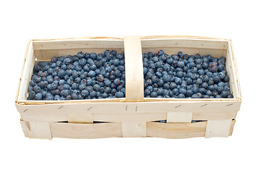 Image showing Blueberry