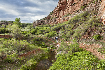 Image showing canyon hiker