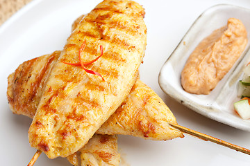 Image showing Grilled Chicken Satay Close Up