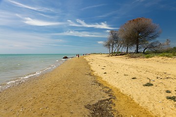 Image showing Beach