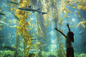 Image showing Young Girl Standing Up Against Large Aquarium Observation Glass