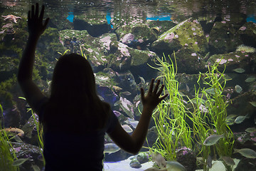 Image showing Young Girl Standing Up Against Large Aquarium Observation Glass