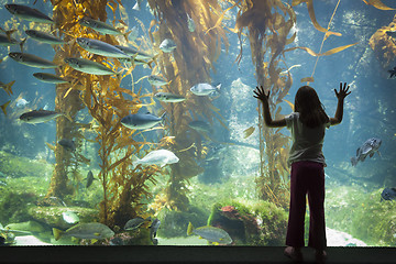 Image showing Young Girl Standing Up Against Large Aquarium Observation Glass