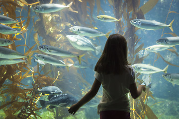 Image showing Young Girl Standing Up Against Large Aquarium Observation Glass