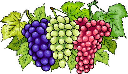 Image showing bunches of grapes cartoon illustration
