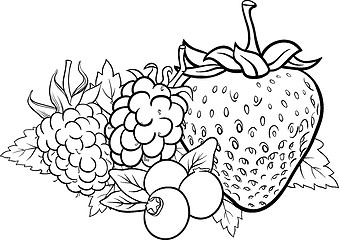 Image showing berry fruits illustration for coloring book