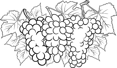 Image showing bunches of grapes illustration for coloring