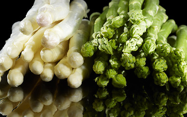 Image showing Asparagus