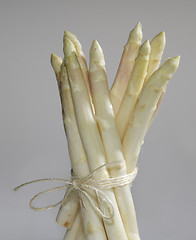 Image showing Asparagus