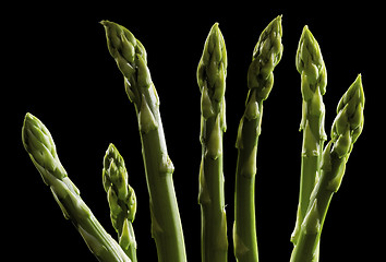 Image showing Asparagus