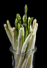 Image showing Asparagus