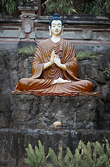 Image showing Young Buddha statue