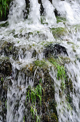 Image showing Closeup Waterfall