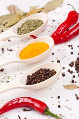 Image showing red peppers and other kind of spices in spoons